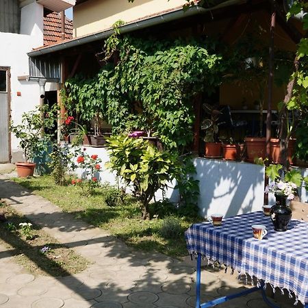 Etnobubi Daire Novi Sip Dış mekan fotoğraf