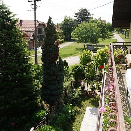 Etnobubi Daire Novi Sip Dış mekan fotoğraf