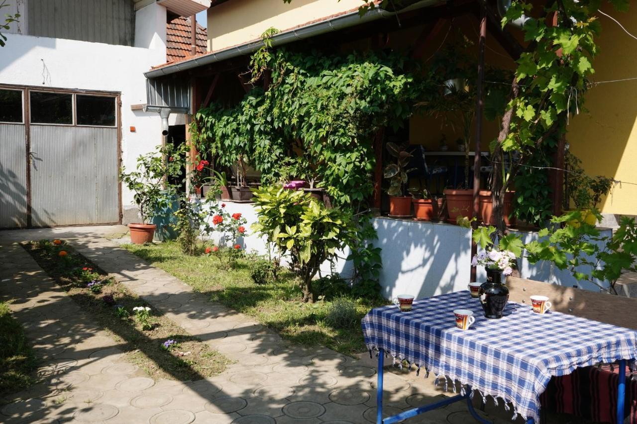 Etnobubi Daire Novi Sip Dış mekan fotoğraf
