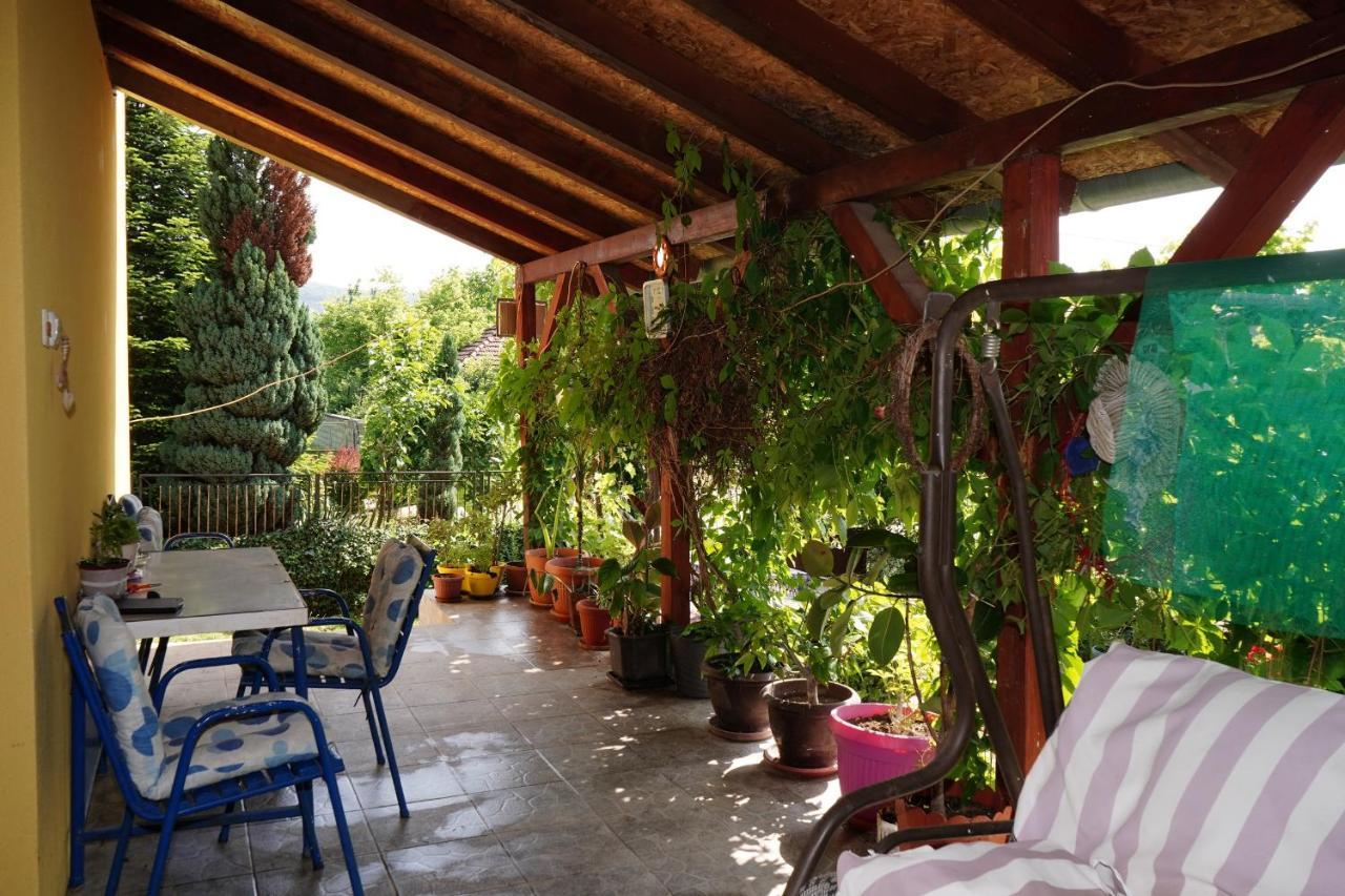 Etnobubi Daire Novi Sip Dış mekan fotoğraf