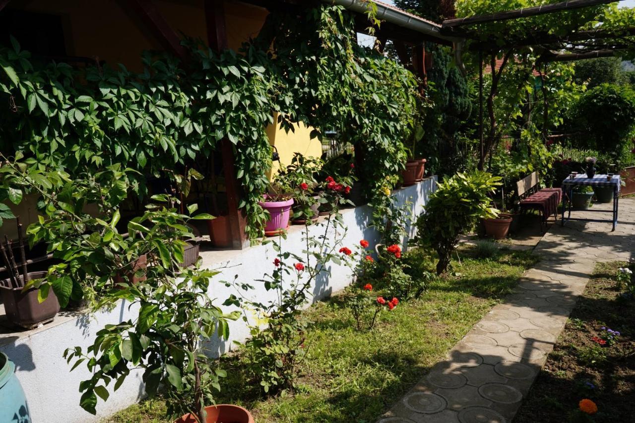 Etnobubi Daire Novi Sip Dış mekan fotoğraf