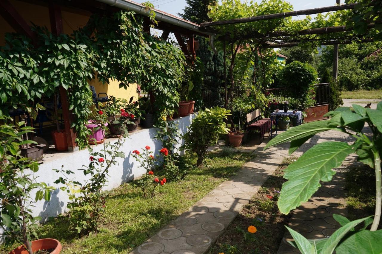 Etnobubi Daire Novi Sip Dış mekan fotoğraf