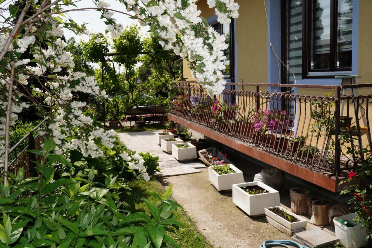 Etnobubi Daire Novi Sip Dış mekan fotoğraf