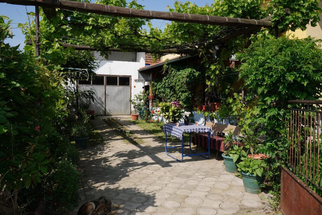 Etnobubi Daire Novi Sip Dış mekan fotoğraf