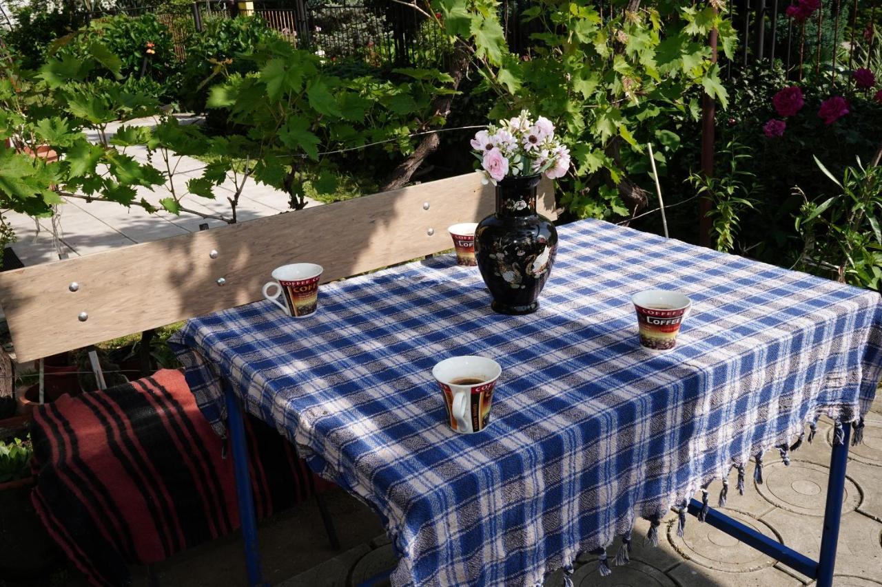 Etnobubi Daire Novi Sip Dış mekan fotoğraf